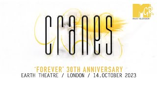 CRANES : Golden (London 2023)