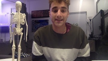 Module 4 Skeletal System Presentation