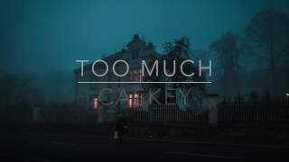 Too Much- Caskey Lyrics