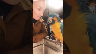 My parrot knows his nickname