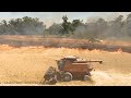 Fire in the oat field