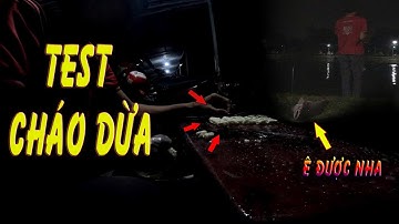 Tiếp Tục Test Cháo Dừa Câu Cá Tra | Cá Ăn Cười Ra Nước Mắt | Linh Lock  #17