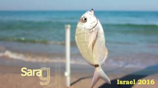 26 11 2016 דייג. Морская рыбалка