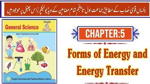 Forms of Energy and Energy Transfer || Chapter 5 || Class 4 || Solved Exercise