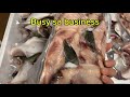 TUNA PANGA / Sensya na busy Kaya now lang upload