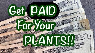 The easy way to turn your plants into cash 🍃🍃 Work from home selling plants