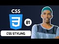CSS Basics: 3 Ways to Style Your Website (With Code Examples!)