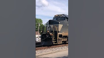 The defect detector gives the score and 3 NS locomotives hustle by elephant style!