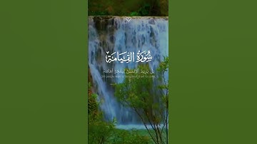 من سورة القيامة _ الشيخ سعد الغامدي _ كرومات قرآن شاشة سوداء #quran #سعد_الغامدي #راحة_نفسية