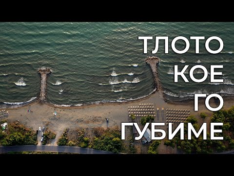 Video: Pse argjinaturat e larta anembanë Ukrainës quhen 