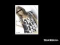 お宝Girls feat 般若 DJ CELORY a k a Mr BEATS