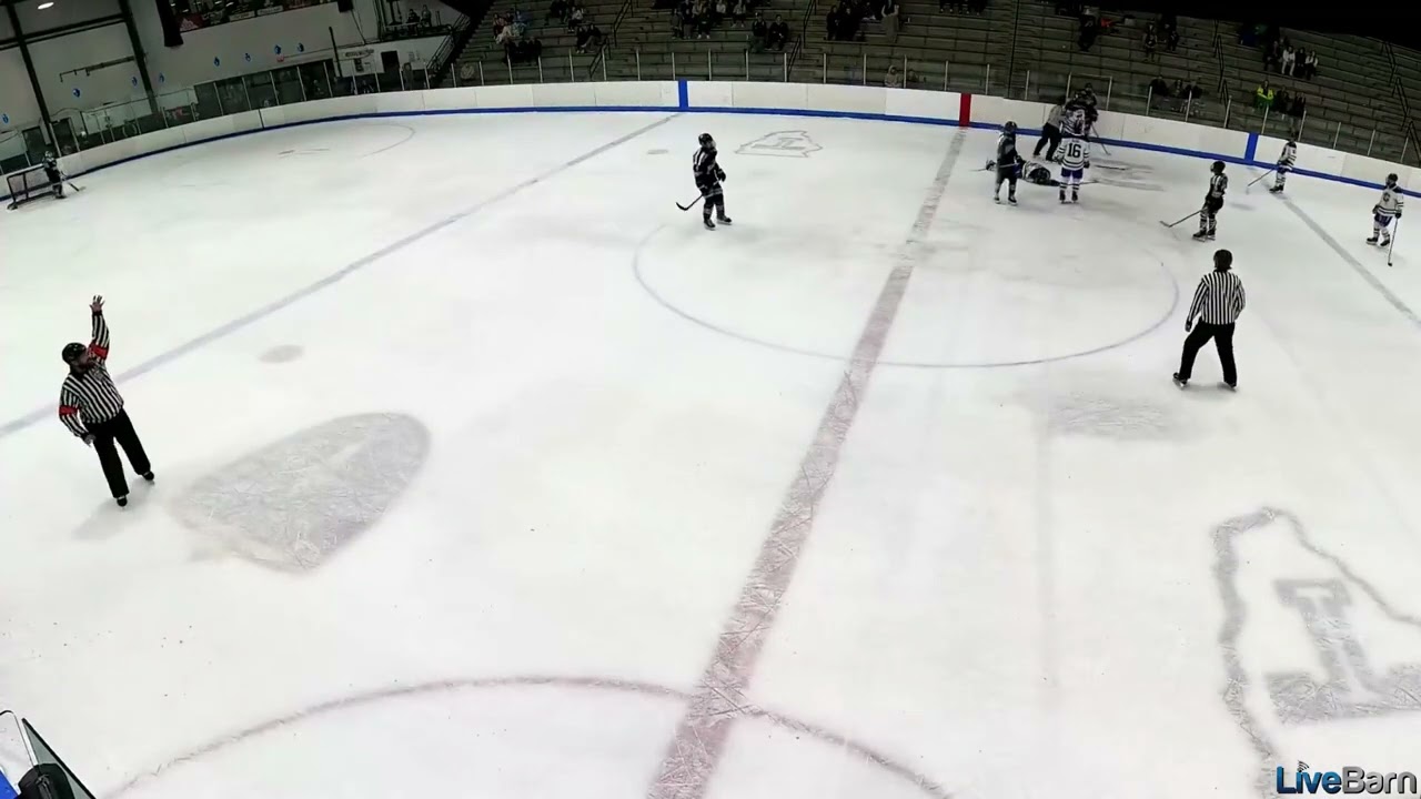 15O Tier I Youth Hockey: Major Plus Game Misconduct, Cross-Checking, 2/24/2024