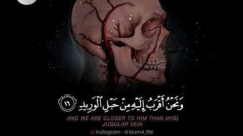 سورة ق من آية 16-19 ﴿وَلَقَدْ خَلَقْنَا الْإِنسَانَ وَنَعْلَمُ...﴾ القارئ: سعيد الخطيب ♥️♥️..