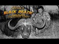 Africa’s Black Death: Cape Buffalo - killer cape buffalo vs ultimate predator - AI enhanced video
