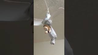 Luigi Spins On The Ceiling Fan! #shorts #ceilingfan