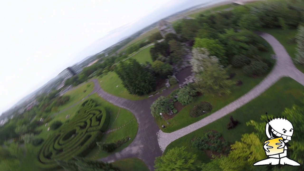 TEAM QTM-FPV DYS FIRE QAV CHARPU 210