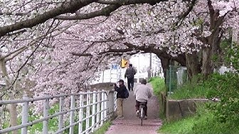 花水川 Youtube