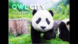 Video thumbnail of "Owl City - Panda Bear (Acapella Cover)"
