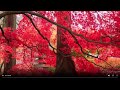 💤 Deep Sleep Music 10 Hours | Relaxation & Healing Calm