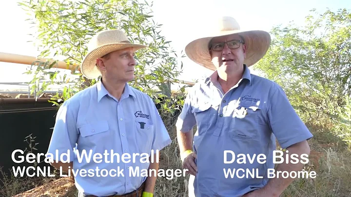 West Coast Northern Livestock with Dave Biss and G...