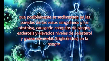 ¿Se puede tocar la carne de cerdo en el Islam?