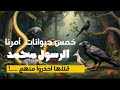 خمس حيوانات أمرنا الرسول ﷺ انها مؤذية عند رؤيتها ما هى هذة الحيوانات سبحان الله 