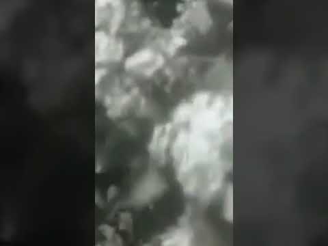Bersarin Quartett - Für und Wider