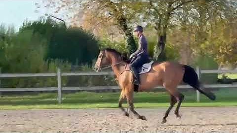 251104d  NIC NAC V SPALBEEK @home