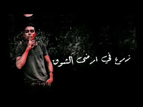 حالت وتس علي شاشه سوداء حلاقوله و مودي امين