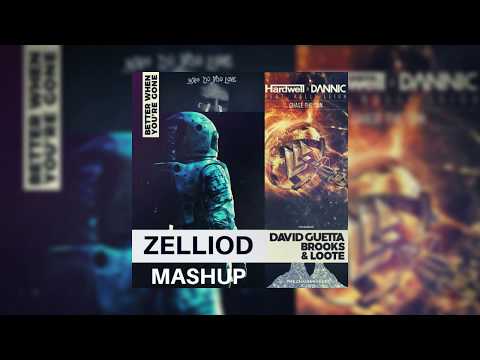 Better When You're Gone vs. Chase The Sun vs. Who Do You Love (Zelliod Mashup)
