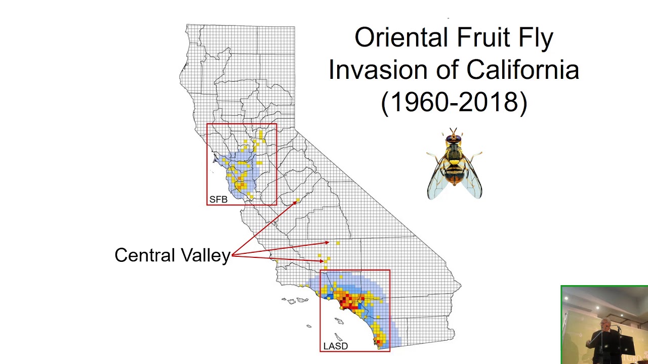HortGro South Africa 190605