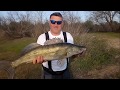 Рыбалка в Вилково Базарчук судак весом 4 кг