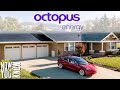 Can you get Paid to Charge your EV? | Octopus Energy