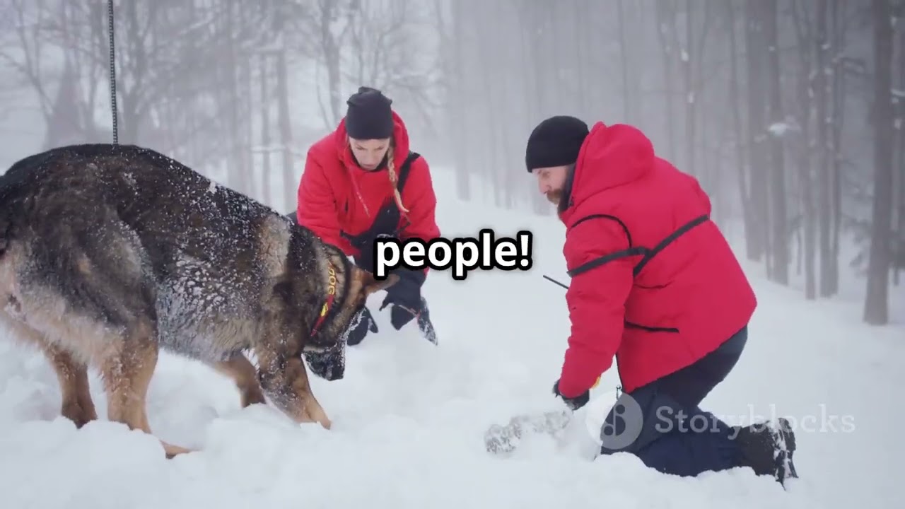 Unleashing the Power of Police Dogs! 