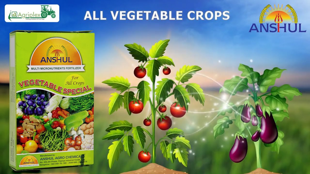 One Solution for Plant Nutrients - Anshul Vegetable Special 