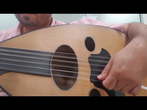 طير الحمامي هي ج غرامي 