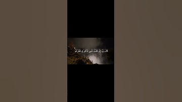 سورة القصص :١٦ |قَالَ رَبِّ إِنِّى ظَلَمْتُ نَفْسِى فَٱغْفِرْ لِى…| غيث سمرين #اكسبلور #قرآن