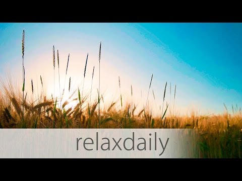N°014 - relaxdaily