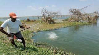 Unbelievable Very Big Fishes Hunting Moments By Professional Fishermanincredble Hook Fishing