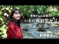 新垣結衣|いまの旅の気分はウェルネス in 三重県【旅色Movie】