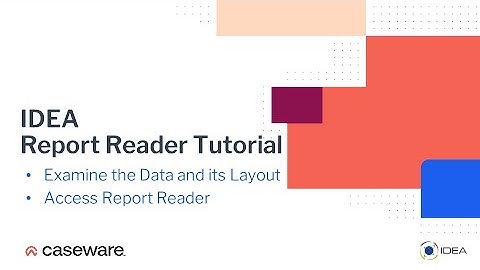 Examine Data and Access Report Reader | IDEA 12 Report Reader Tutorial (EN)