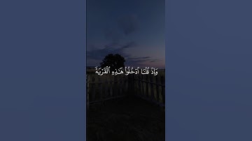 وَإِذْ قُلْنَا ادْخُلُوا هَٰذِهِ الْقَرْيَةَ || سورة البقرة #علاء_عقل 🤍🌱