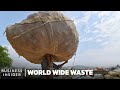 How people profit off indias garbage  world wide waste  business insider