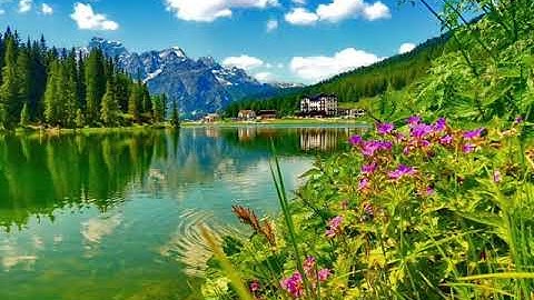 الشيخ سعد الغامدي سورة الواقعة تلاوه جميله