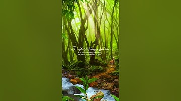 تلاوة رائعة ايات من سورة الزخرف | سلمان العتيبي