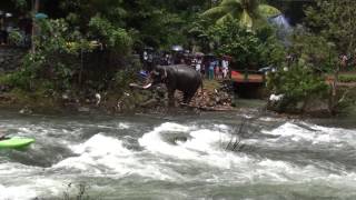 chennai flood more disasters