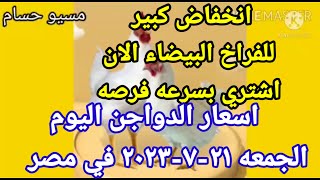 اسعار الفراخ البيضاء اليوم اسعار الدواجن اليوم ٢١-٧-٢٠٢٣ في مصر