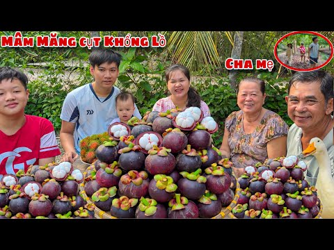 Cha Mẹ Ăn Mâm Măng Cụt Khổng Lồ Chín Trong Vườn Nhà Bà Ngoại Ăn No Căng Bụng