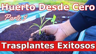 Cómo Hacer Trasplantes- Huerto Dede Cero Parte 9