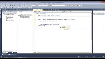 ejercicio visual basic con programacion orientado a objetos
